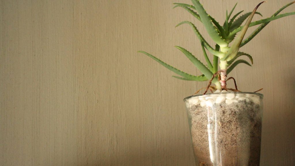 Cemcrete Wall Products
